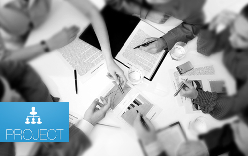 project management